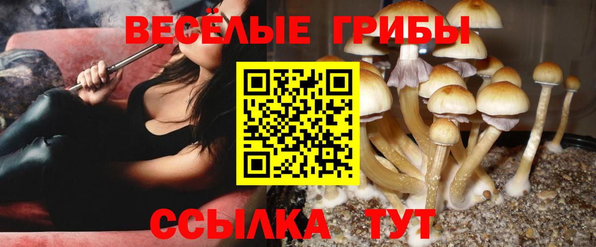 Бахчисарай  Галлюциногенные грибы Magic Shrooms  Вход с VPN 